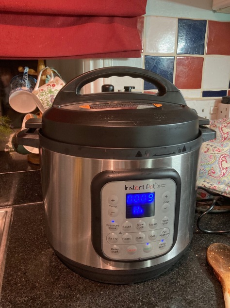 Instant Pot with lid